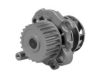 GK 980131 Water Pump